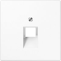 Лицевая панель Jung LS990 для 1-м. розетки RJ11/RJ45 белый картинка